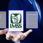 Validación de Movimientos Afiliatorios IMSS