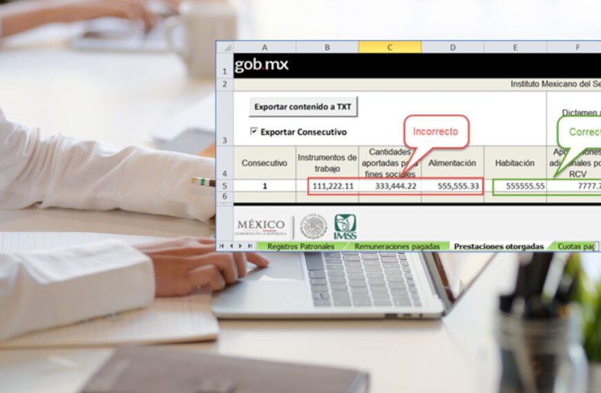 Cómo Funciona la Plantilla de Información Patronal del Dictamen IMSS
